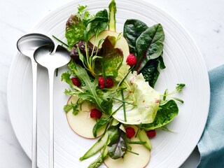 Electrolux TwinTech buzdolabından çıkan taze salata